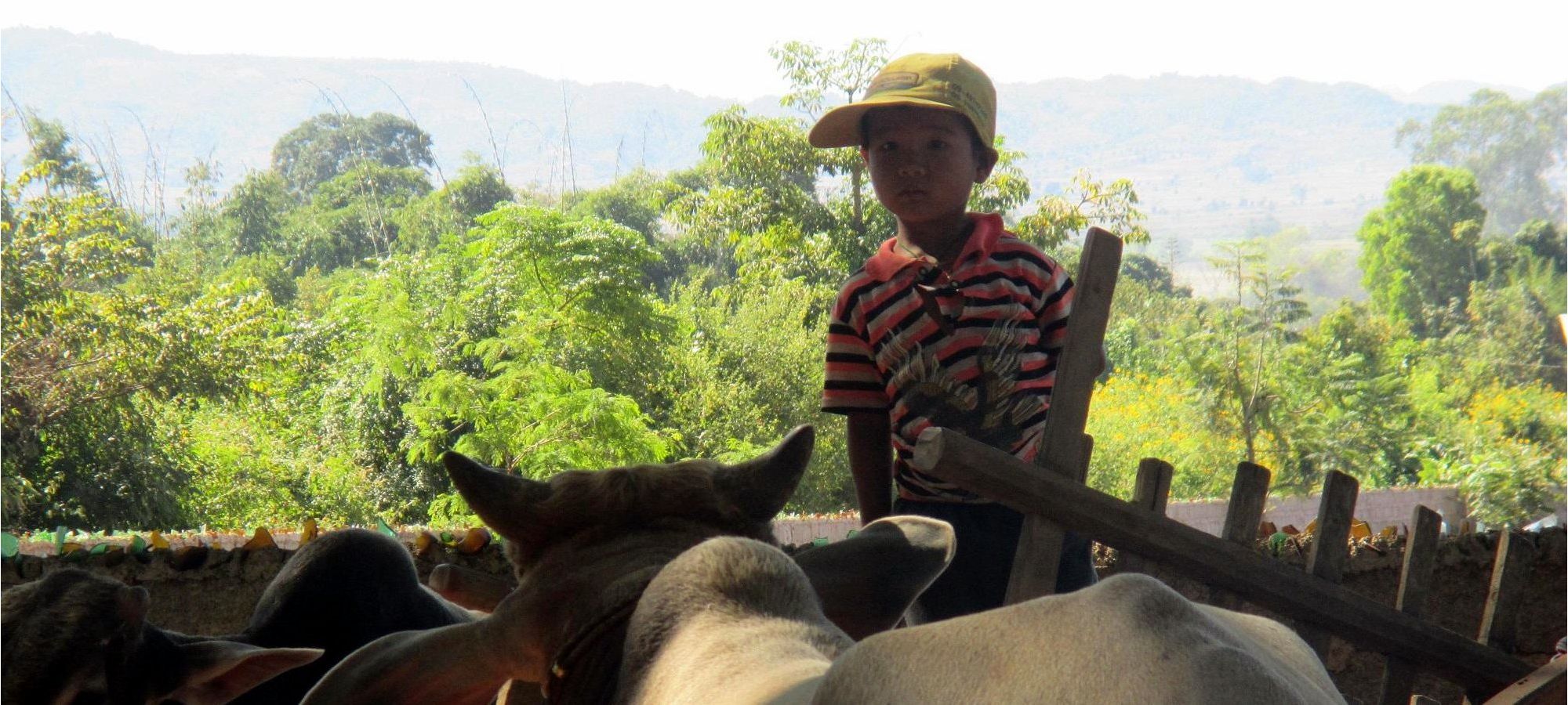 cycling holidays Myanmar